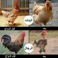 before and after marriage